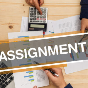 Assignment Submission Extension - 14 Days