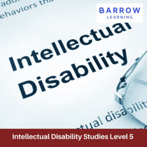 Intellectual Disability Studies QQI Level 5