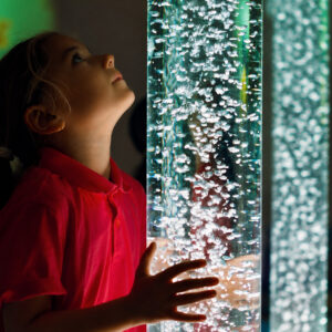 Sensory Processing Disorder